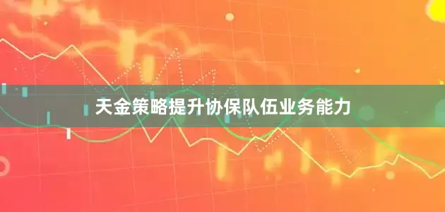 天金策略提升协保队伍业务能力