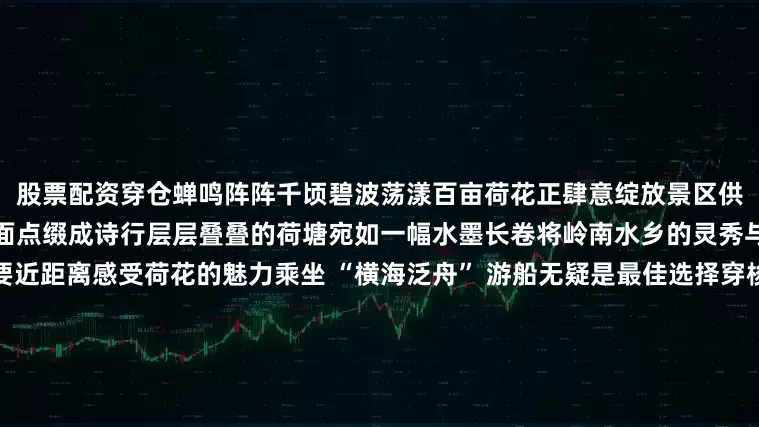 股票配资穿仓蝉鸣阵阵千顷碧波荡漾百亩荷花正肆意绽放景区供图一朵朵荷花正悄然绽放将湖面点缀成诗行层层叠叠的荷塘宛如一幅水墨长卷将岭南水乡的灵秀与诗意尽数铺陈景区供图想要近距离感受荷花的魅力乘坐 “横海泛舟” 游船无疑是最佳选择穿梭在百亩荷花之间荷花与水乡建筑相映成趣构成了一幅绝美的江南水乡图景随手一拍即是诗意大片！彭伟宗摄你甚至可以伸手触摸那翠绿的荷叶感受它的柔软与清凉也可以轻嗅荷花的芬芳让那淡雅的