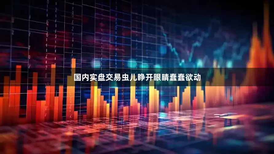 国内实盘交易虫儿睁开眼睛蠢蠢欲动