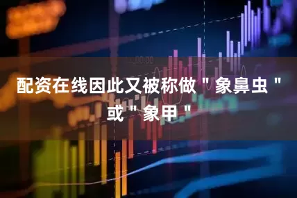 配资在线因此又被称做＂象鼻虫＂或＂象甲＂