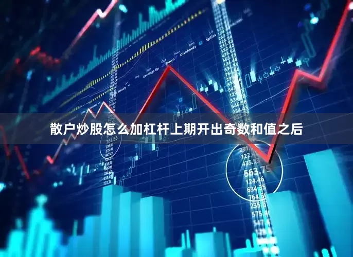 散户炒股怎么加杠杆上期开出奇数和值之后