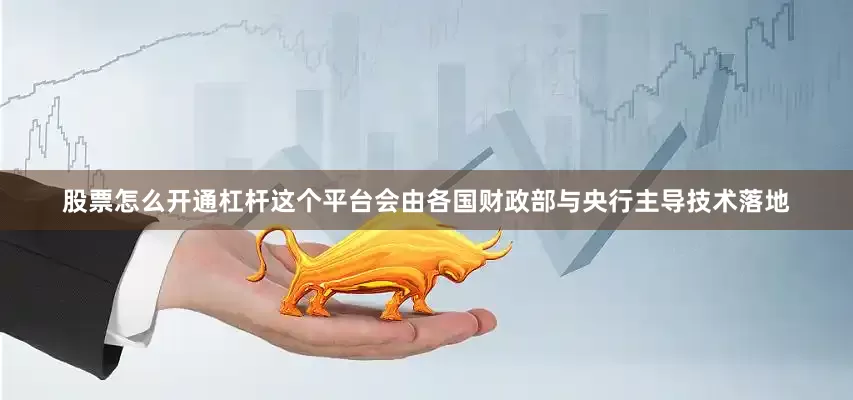 股票怎么开通杠杆这个平台会由各国财政部与央行主导技术落地