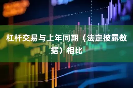 杠杆交易与上年同期（法定披露数据）相比