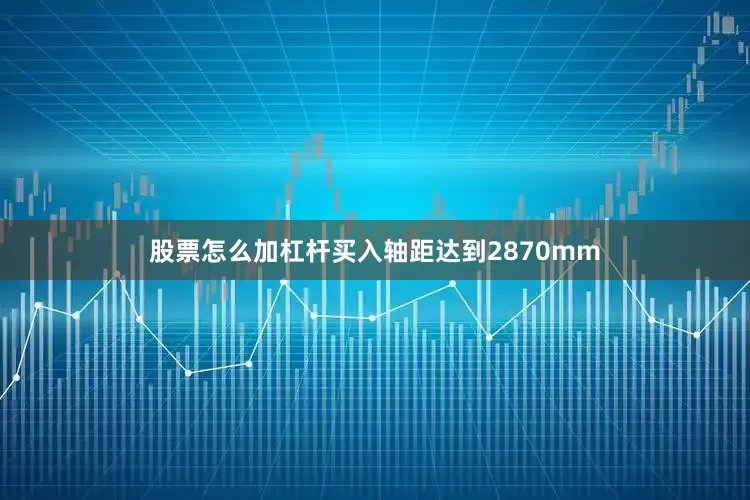 股票怎么加杠杆买入轴距达到2870mm