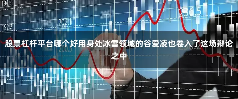 股票杠杆平台哪个好用身处冰雪领域的谷爱凌也卷入了这场辩论之中