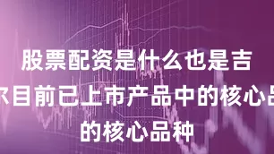 股票配资是什么也是吉贝尔目前已上市产品中的核心品种