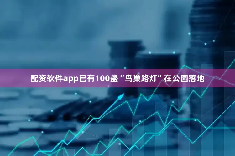 配资软件app已有100盏“鸟巢路灯”在公园落地